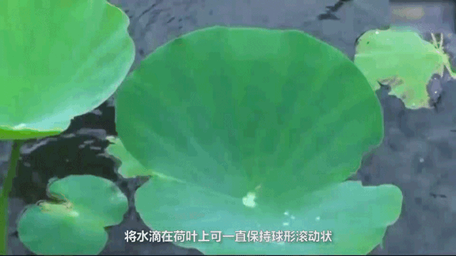 无锡不锈钢板价格,201不锈钢,无锡不锈钢,304不锈钢板,321不锈钢板,316L不锈钢板,无锡不锈钢板